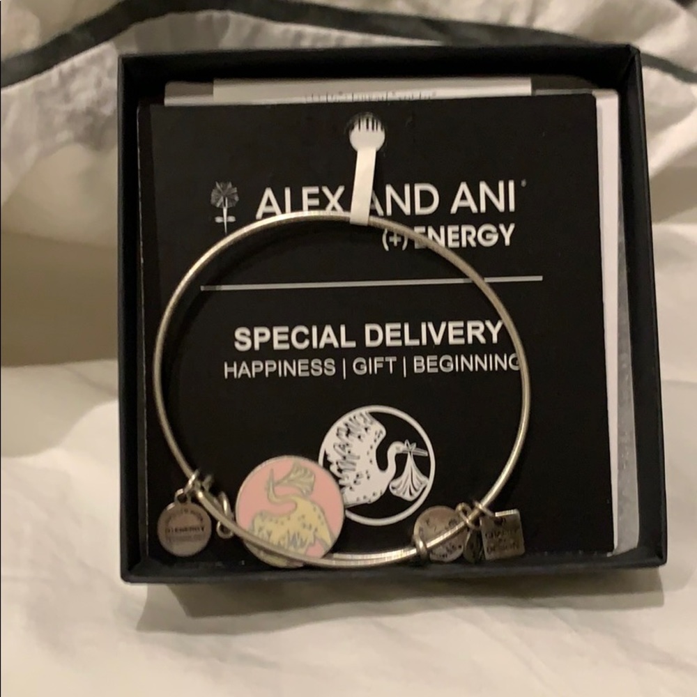 Alex and ani special delivery bracelet